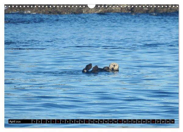 Produktbild: Vancouver - Vancouver Island - Seattle (Wandkalender 2026 DIN A3 quer), CALVENDO Monatskalender