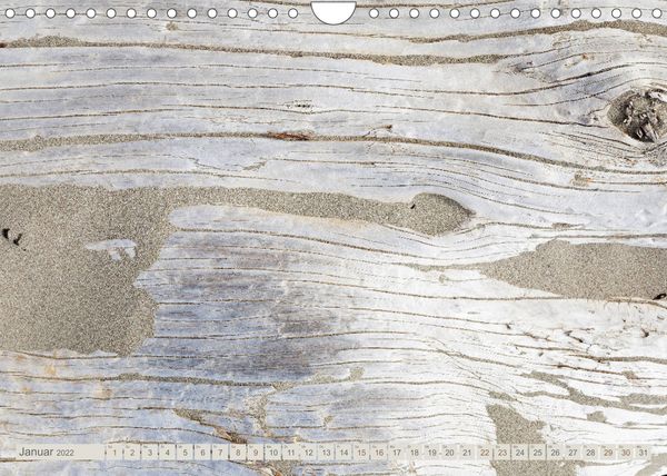 Produktbild: Am Strand - Fundst&uuml;cke und Kunstwerke (Wandkalender 2022 DIN A4 quer)