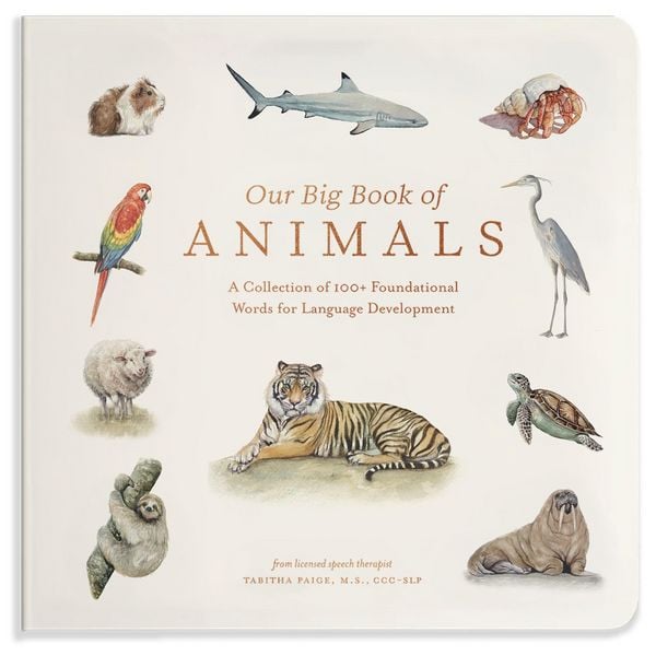Produktbild: Our Big Book of Animals