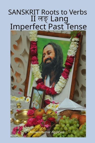 Produktbild: Sanskrit Roots to Verbs II Lang Imperfect Past Tense