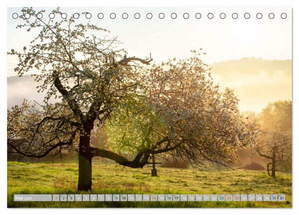 Produktbild: Streifz&uuml;ge durch die Hebelei (Tischkalender 2026 DIN A5 quer), CALVENDO Monatskalender