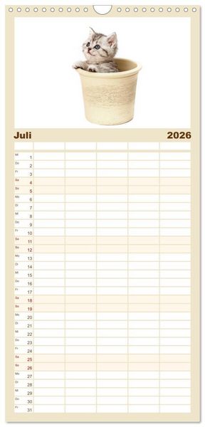 Produktbild: Familienplaner 2026 - Katzenbabys mit 5 Spalten (Wandkalender, 21 x 45 cm) CALVENDO