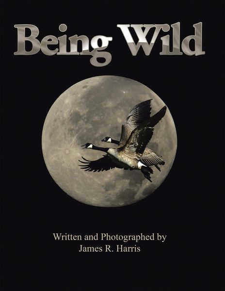 Produktbild: Being Wild