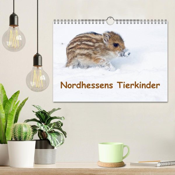 Produktbild: Nordhessens Tierkinder (Wandkalender 2026 DIN A4 quer), CALVENDO Monatskalender