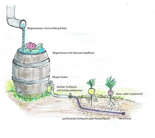 Produktbild: Handbuch Wasser im Garten