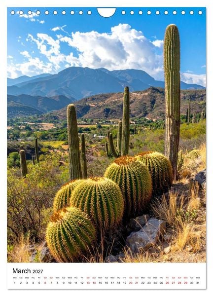 Produktbild: Beautiful Spiky Balls (Wall Calendar 2027 DIN A4 portrait), CALVENDO 12 Month Wall Calendar