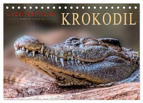 Produktbild: Urzeitreptilien - Krokodil (Tischkalender 2026 DIN A5 quer), CALVENDO Monatskalender