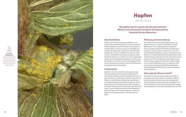 Produktbild: Wie Wildkr&auml;uter wirken