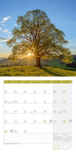 Produktbild: Magie des Lichts Kalender 2027 - 30x30 - Art12
