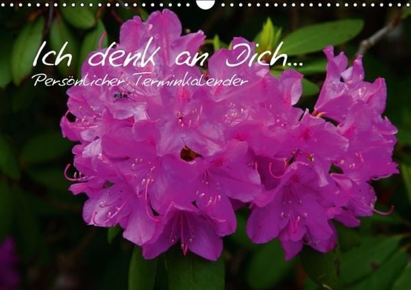 Produktbild: Ich denk an Dich ... Pers&ouml;nlicher Terminkalender (Wandkalender immerw&auml;hrend DIN A3 quer)