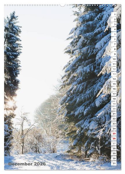 Produktbild: EIFEL - Kraftorte Wald und Wasser (hochwertiger Premium Wandkalender 2026 DIN A2 hoch), Kunstdruck in Hochglanz