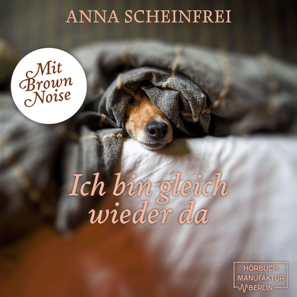 Ich bin gleich wieder da - Anna Scheinfrei, Audio, 4066004858647