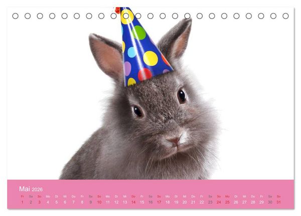 Produktbild: S&uuml;&szlig;e Tier-Babys! (Tischkalender 2026 DIN A5 quer), CALVENDO Monatskalender