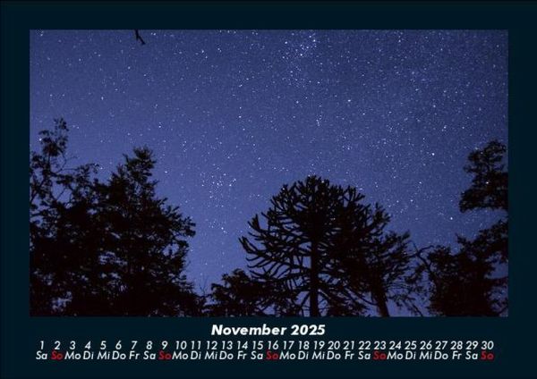 Produktbild: B&auml;ume 2025 Fotokalender DIN A5