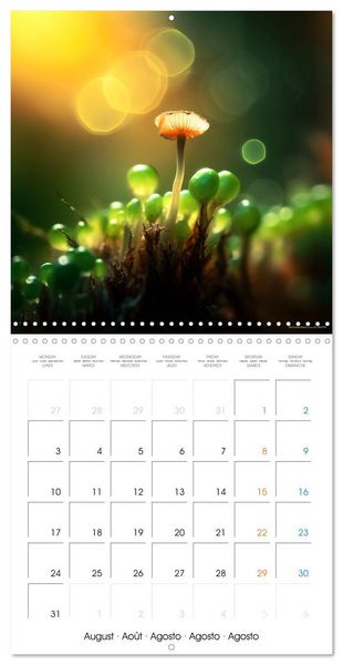 Produktbild: &Eacute;clats naturels (Calendrier mural carr&eacute; 2026 30x30 cm) Calendrier double avec une page pour vos prises de notes