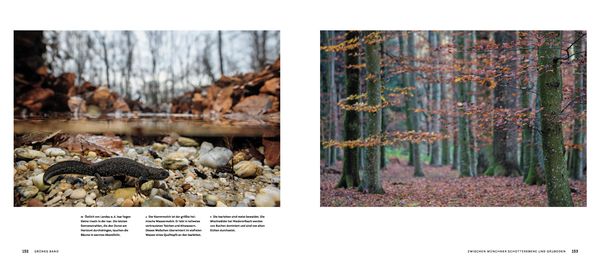 Produktbild: Wilde Isar