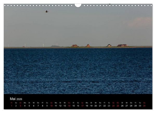 Produktbild: Pellworm 2026 (Wandkalender 2026 DIN A3 quer), CALVENDO Monatskalender