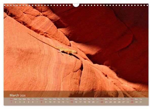 Produktbild: Lights and Colours of the Antelope Canyon (Wall Calendar 2026 DIN A3 landscape), CALVENDO 12 Month Wall Calendar
