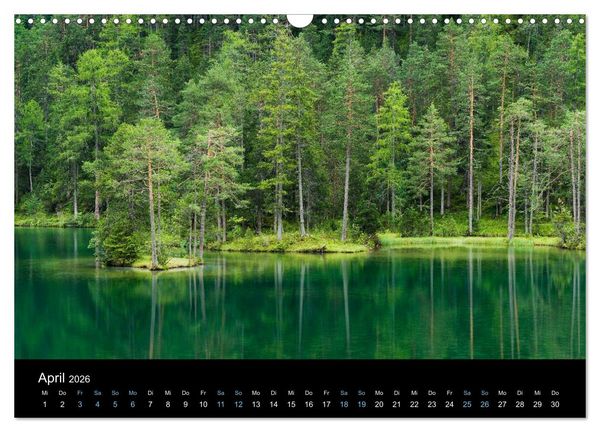 Produktbild: Wildes Europa 2026 (Wandkalender 2026 DIN A3 quer), CALVENDO Monatskalender