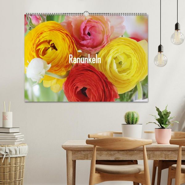 Produktbild: Ranunkeln (Wandkalender 2026 DIN A2 quer), CALVENDO Monatskalender
