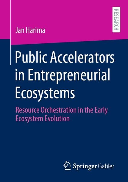 Produktbild: Public Accelerators in Entrepreneurial Ecosystems