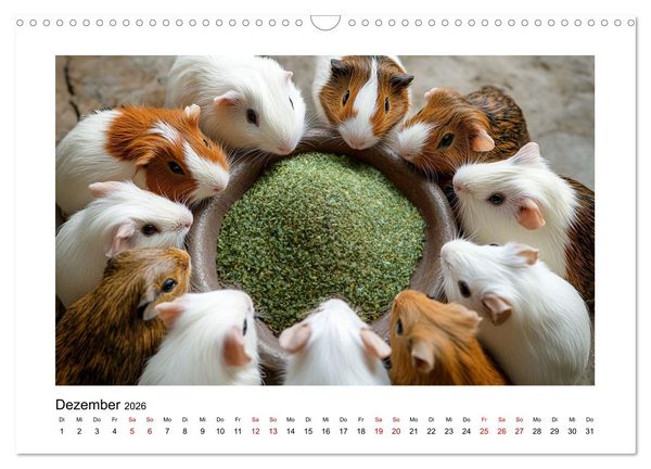 Produktbild: Mehr Schwein mit Meerschwein (Wandkalender 2026 DIN A3 quer), CALVENDO Monatskalender