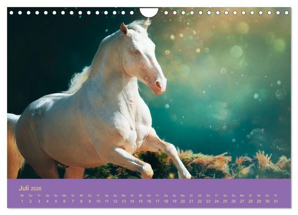 Produktbild: Von der Magie der Pferde (Wandkalender 2026 DIN A4 quer), CALVENDO Monatskalender