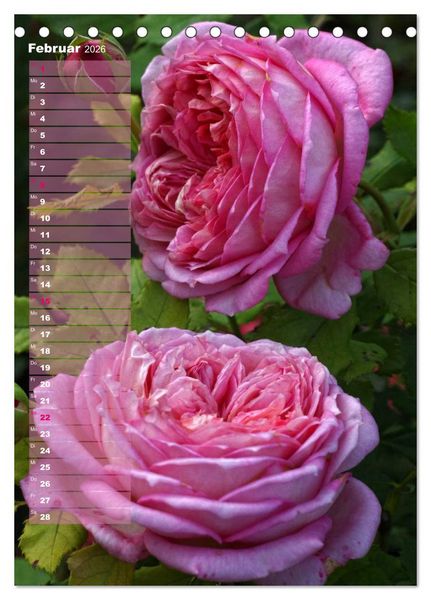 Produktbild: Rosen f&uuml;r DICH / Geburtstagskalender (Tischkalender 2026 DIN A5 hoch), CALVENDO Monatskalender