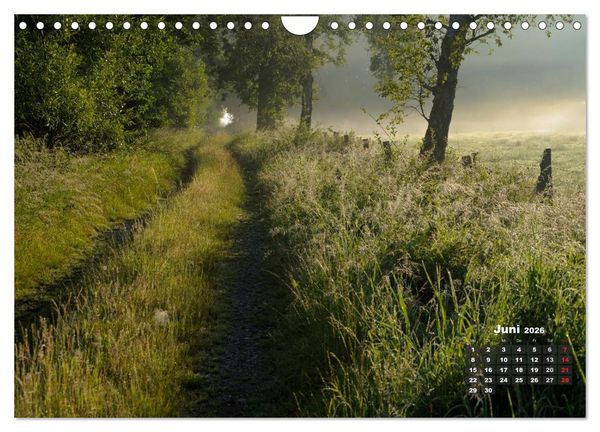 Produktbild: Die Dingdener Heide im Wandel der Jahreszeiten (Wandkalender 2026 DIN A4 quer), CALVENDO Monatskalender