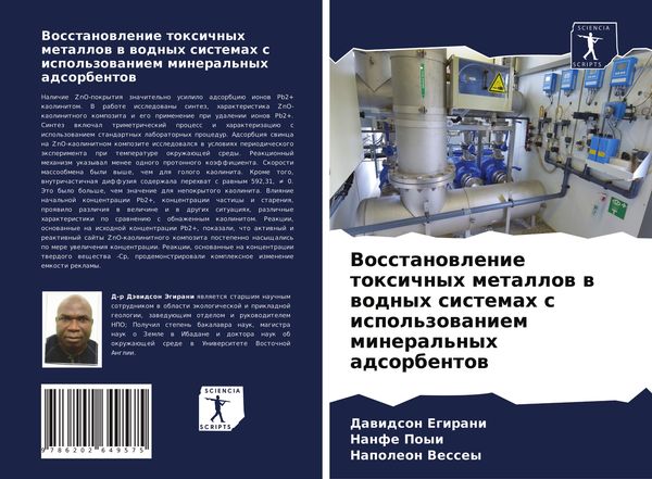Produktbild: Vosstanowlenie toxichnyh metallow w wodnyh sistemah s ispol'zowaniem mineral'nyh adsorbentow