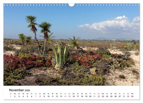 Produktbild: Algarve von Sagres bis Tavira (Wandkalender 2026 DIN A3 quer), CALVENDO Monatskalender
