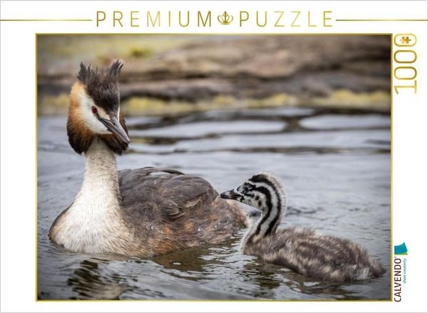 CALVENDO Puzzle Allein unterwegs | 1000 Teile Lege-Größe 64x48cm Foto-Puzzle für glückliche Stunden