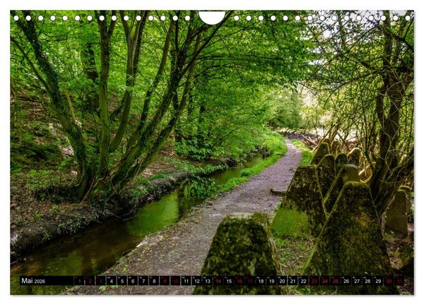 Produktbild: Wege des einfachen Gl&uuml;cks - Spazierg&auml;nge im Wald (Wandkalender 2026 DIN A4 quer), CALVENDO Monatskalender