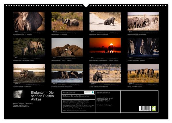 Produktbild: Elefanten - Die sanften Riesen Afrikas (Wandkalender 2027 DIN A2 quer), CALVENDO Monatskalender