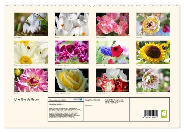 Produktbild: Une f&ecirc;te de fleurs (Calendrier mural 2026 DIN A2 vertical) calendrier de bureau