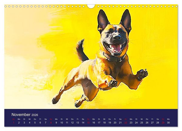 Produktbild: Loyaler Malinois. Belgische Sch&auml;ferhunde im Aquarell-Stil (Wandkalender 2026 DIN A3 quer), CALVENDO Monatskalender