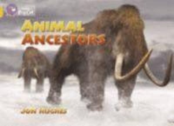Produktbild: Animal Ancestors