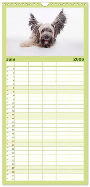 Produktbild: Familienplaner 2026 - SCHLAPPOHREN mit 5 Spalten (Wandkalender, 21 x 45 cm) CALVENDO