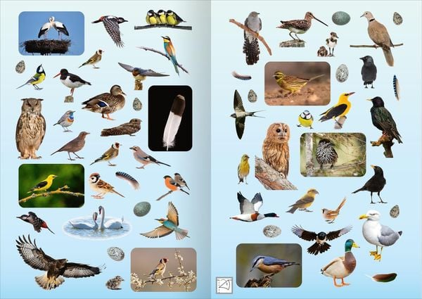 Produktbild: Naturforscher-Kids &ndash; Fotosticker V&ouml;gel