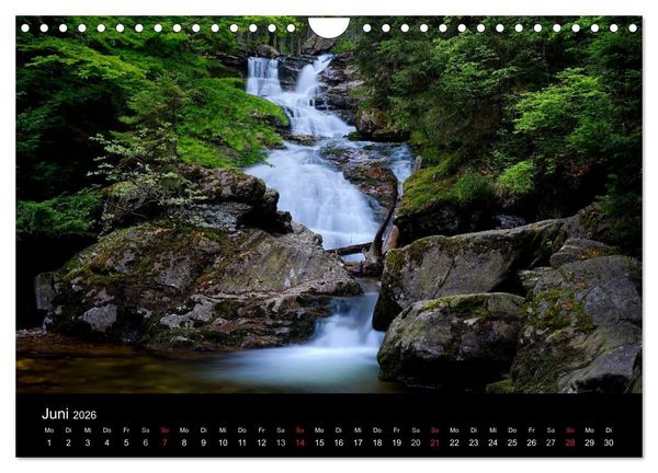 Produktbild: Mysterium Wald (Wandkalender 2026 DIN A4 quer), CALVENDO Monatskalender