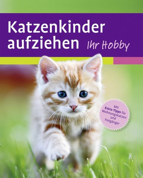 Katzenkinder aufziehen, Taschenbuch von Mark Evans, Verlag Eugen Ulmer, 978-3-8001-6748-7