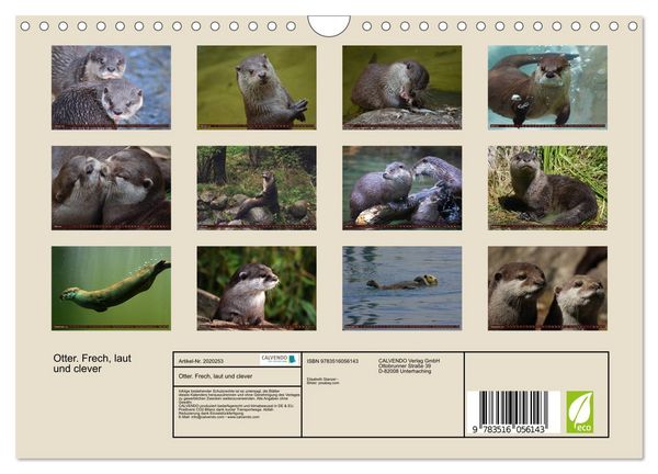 Produktbild: Otter. Frech, laut und clever (Wandkalender 2026 DIN A4 quer), CALVENDO Monatskalender
