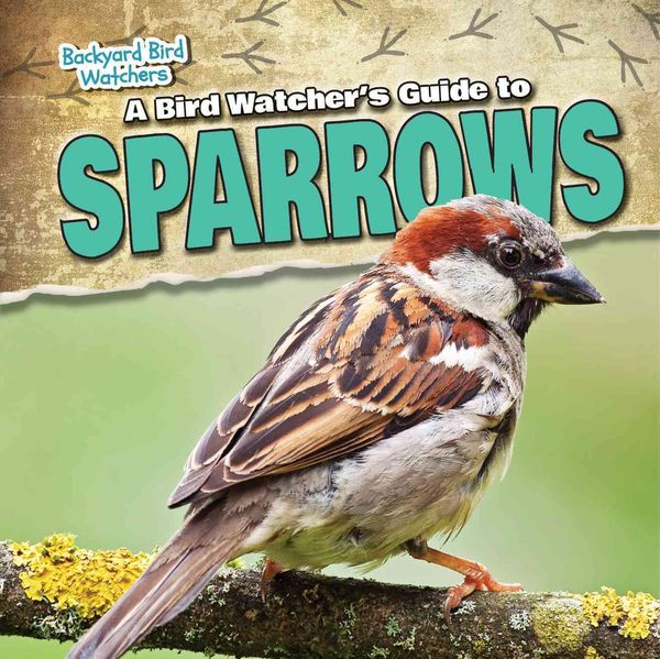 Produktbild: A Bird Watcher's Guide to Sparrows