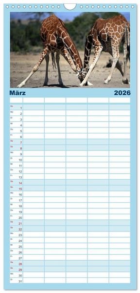 Produktbild: Familienplaner 2026 - Giraffen - Sanftheit und Anmut mit 5 Spalten (Wandkalender, 21 x 45 cm) CALVENDO