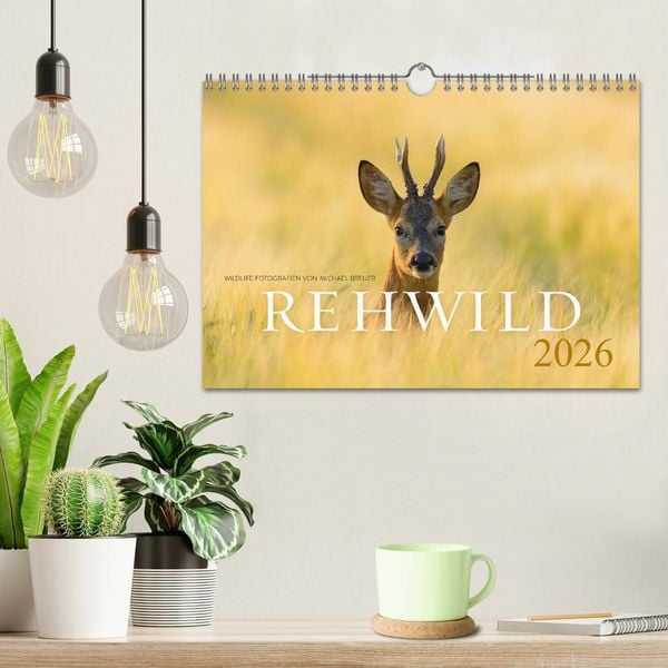 Produktbild: Rehwild 2026 (Wandkalender 2026 DIN A4 quer), CALVENDO Monatskalender