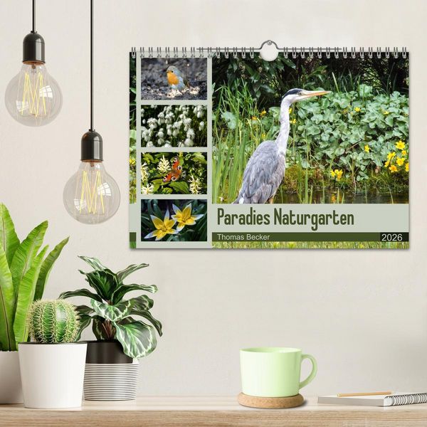 Produktbild: Paradies Naturgarten (Wandkalender 2026 DIN A4 quer), CALVENDO Monatskalender