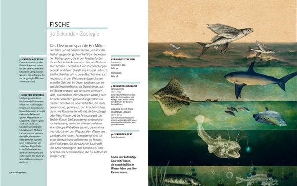 Produktbild: Zoologie in 30 Sekunden