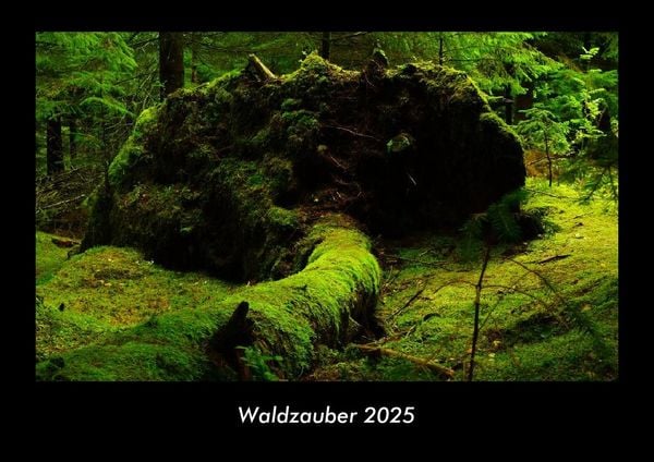Produktbild: Waldzauber 2025 Fotokalender DIN A3