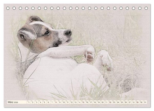 Produktbild: Bodeguero Andaluz 2026 (Tischkalender 2026 DIN A5 quer), CALVENDO Monatskalender