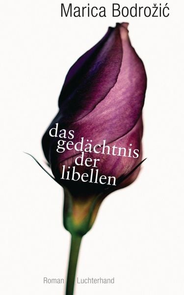Produktbild: Das Ged&auml;chtnis der Libellen